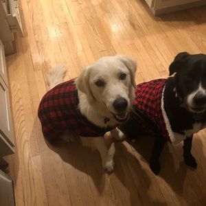 Meet your Posher, Margaret